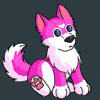 PinkHuskyPuppy